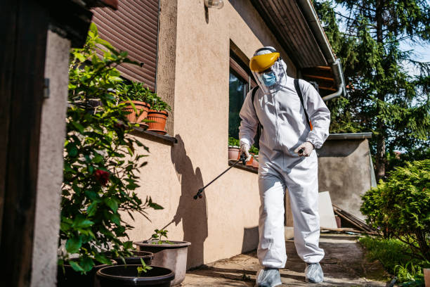 Best Exterminator Services  in Eminence, KY