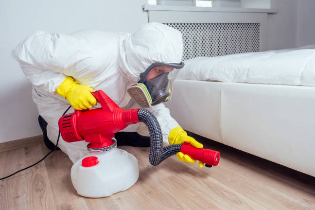 Best Best Pest Control Companies  in Eminence, KY