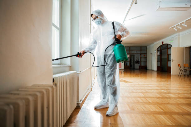 Best Affordable Pest Control Services  in Eminence, KY